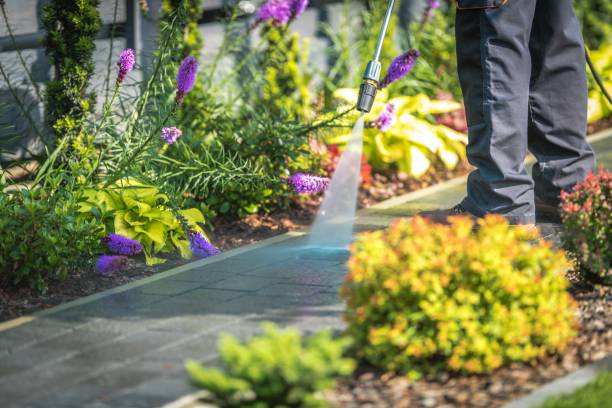 Shelley, ID Pressure Washing Services Company