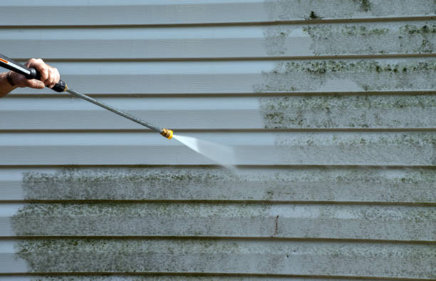 Best Building Exterior Washing  in Shelley, ID
