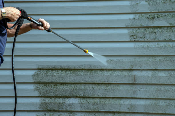 Best Driveway Pressure Washing  in Shelley, ID